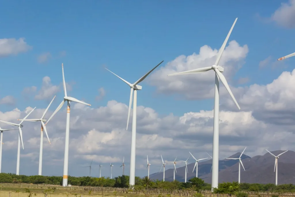 Reps Move To Create Green Jobs For Women And Youth
