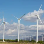 Reps Move To Create Green Jobs For Women And Youth
