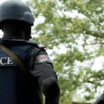 Gunmen Kill Seven in Imo State as Police Launch Manhunt