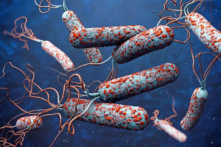 Cholera Outbreak Persists in Niger State as 27 New Cases Emerge Despite Containment Measures