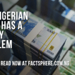 Why Nigerian Gen Z Will Do Anything for Money and Why This Crisis Is Becoming Deadly